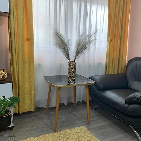 Garsoniera Madalina Apartment Sibiu Exterior foto
