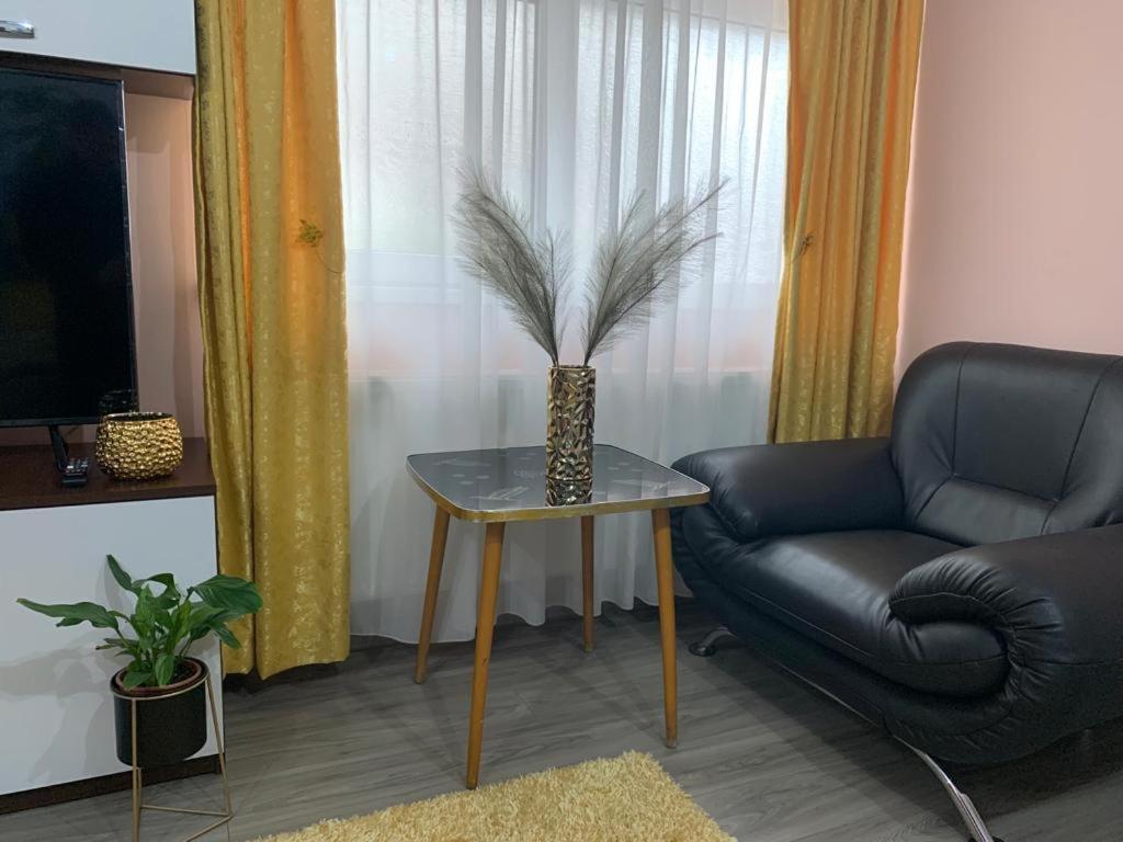 Garsoniera Madalina Apartment Sibiu Exterior foto