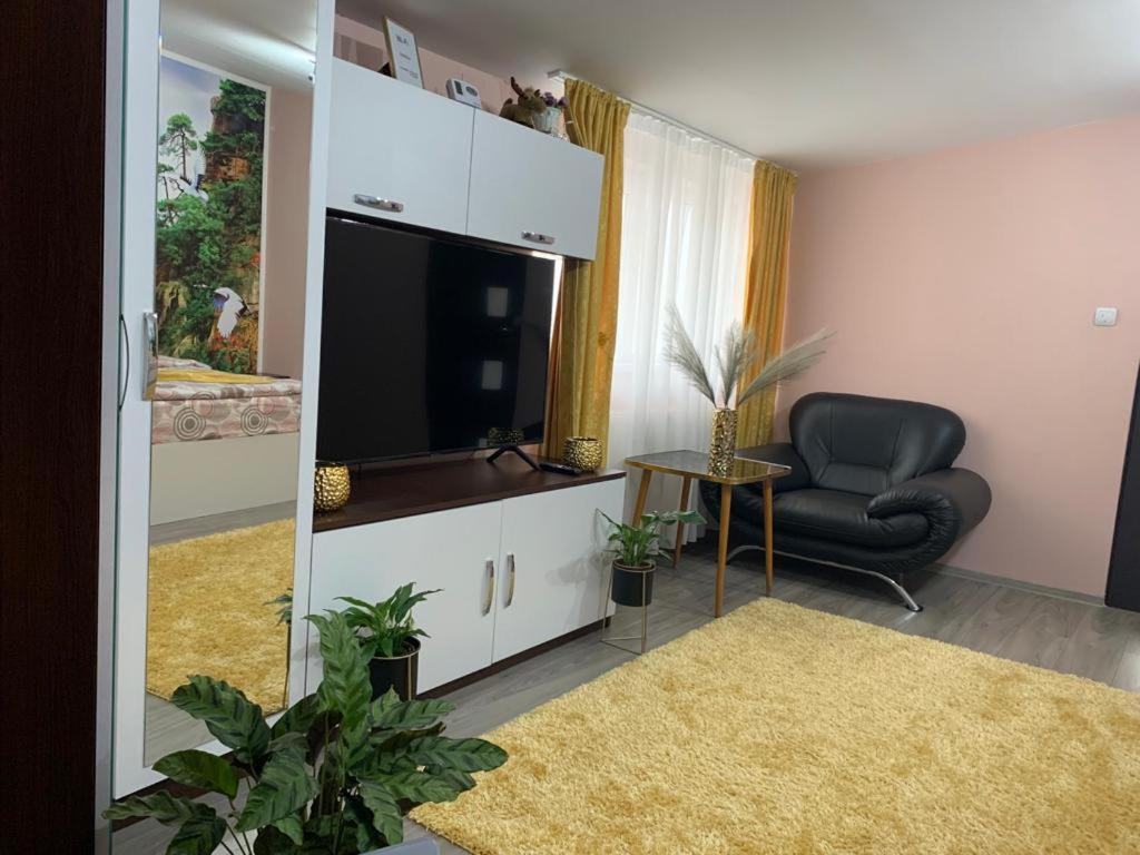 Garsoniera Madalina Apartment Sibiu Exterior foto