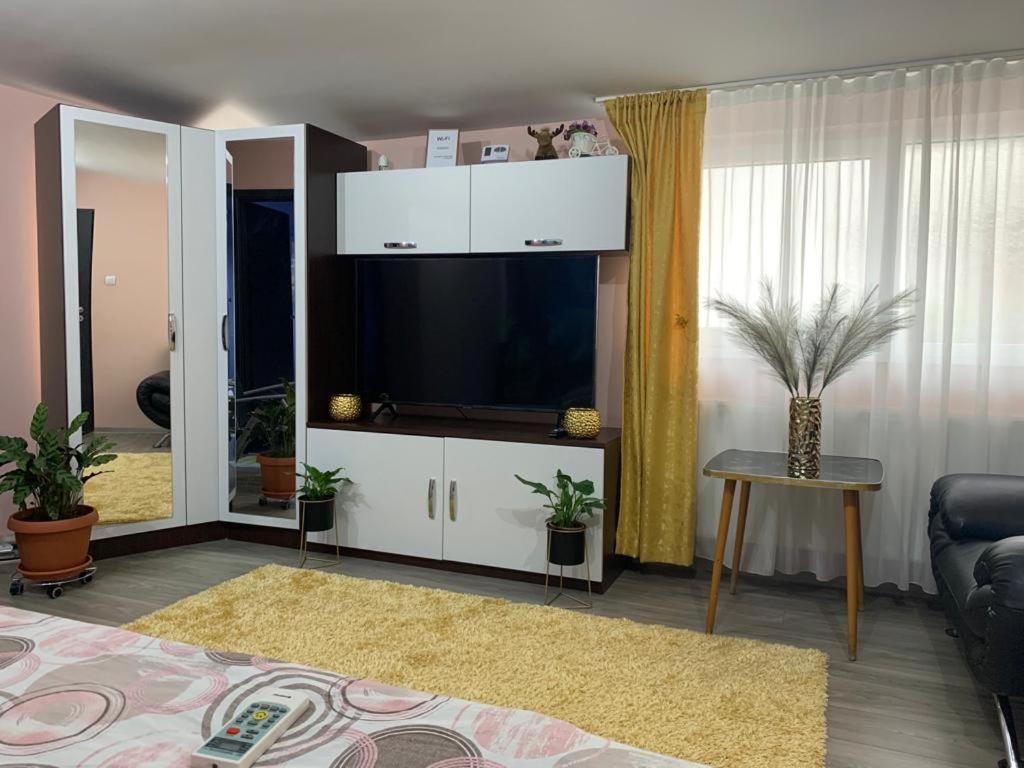Garsoniera Madalina Apartment Sibiu Exterior foto